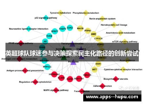 英超球队球迷参与决策探索民主化路径的创新尝试