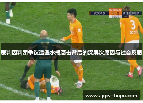 裁判因判罚争议遭遇水瓶袭击背后的深层次原因与社会反思