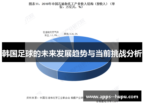 韩国足球的未来发展趋势与当前挑战分析