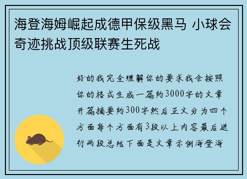 海登海姆崛起成德甲保级黑马 小球会奇迹挑战顶级联赛生死战